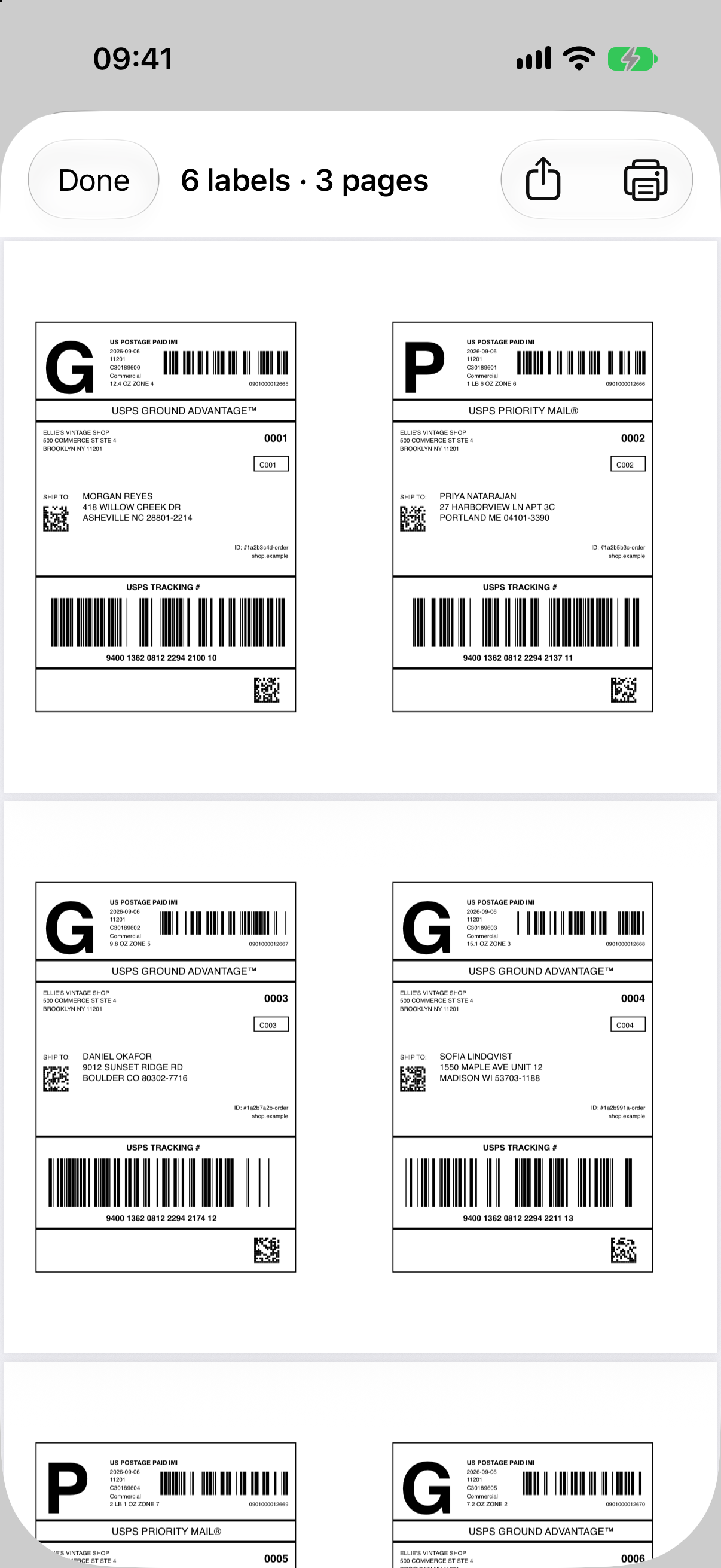 Preview of a generated PDF with two labels side by side